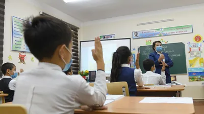 Вологодские школьники больше не смогут пользоваться мобильными телефонами  на уроках - Лента новостей Вологды