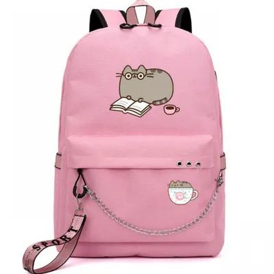 Школьный портфель для девочки 5-11 класс CH207-4, купить в  интернет-магазине Ekakids