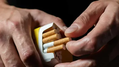 В Казахстане будут штрафовать за продажу сигарет без цифровой маркировки |  Kazakhstan Today