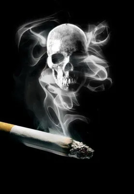 Сигарет — стоковые фотографии и другие картинки Сигарета - Сигарета,  Сложенное стопкой, Фотографирование - iStock