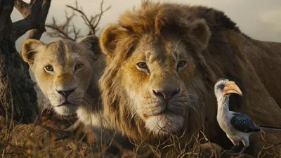 Свитшот 3D Симба и Нала. Король лев Взрослые и детские размеры | Booom Shop