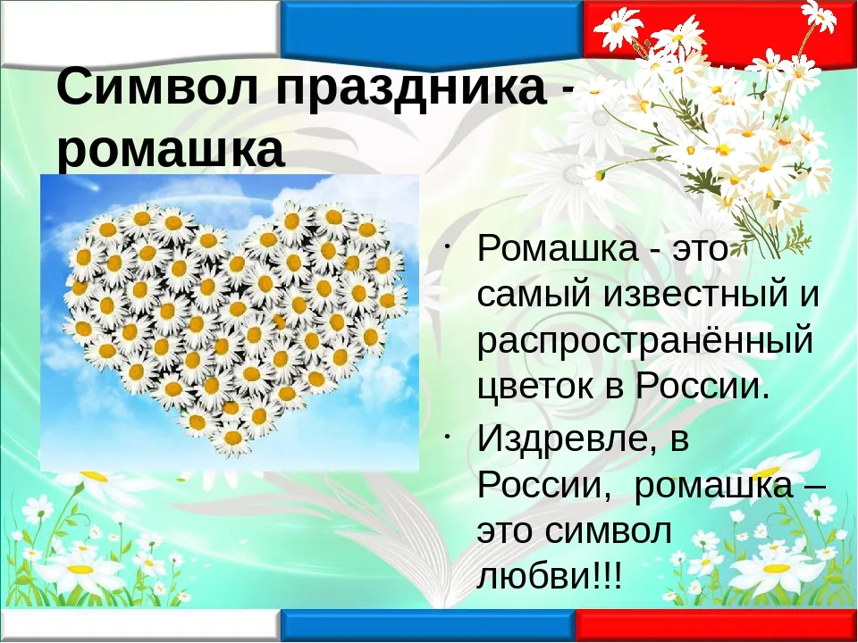 Какой цветок является символом всероссийского дня семьи
