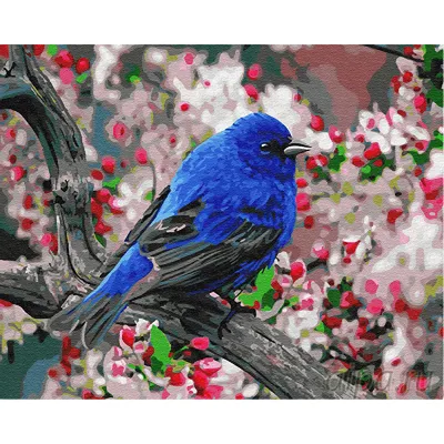 Z-GX23193 Синяя птица счастья Раскраска картина по номерам на холсте  Цветной недорого купить в интернет магазине Айпа в Краснодаре , цена,  отзывы, фото