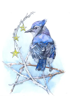 синяя птица сидит на листьях, синяя птица, Hd фотография фото, глаз фон  картинки и Фото для бесплатной загрузки