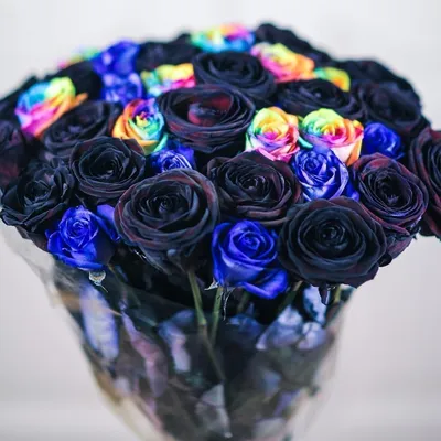 Reine Rose - 101🌹 Синие розы 😻 С ними любой букет — необычный и  запоминающийся. Но лучше всего синие розы сочетаются с белыми или розовыми.  Удивляйте любимых ✨ Мы готовы помочь Вам