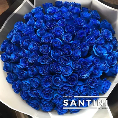 1️⃣ Синие розы в шляпной коробке Алматы | Купить по лучшей цене