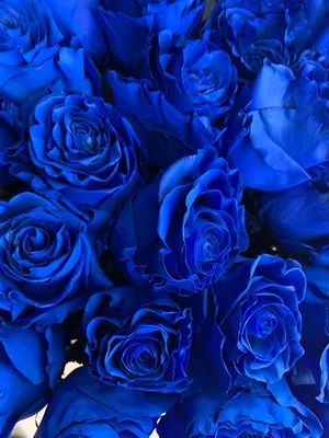 Букет синих роз за 4 790 руб. | Бесплатная доставка цветов по Москве