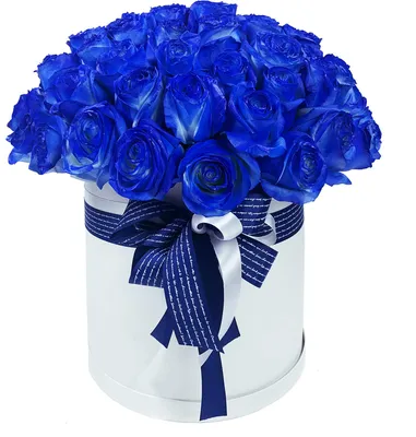 Купить фотообои Синие розы на Wall-photo.ru - интернет магазин фотообоев.  Недорогие фотообои на заказ