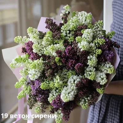 Букет из 9 веток фиолетовой сирени за 6 690 руб. | Бесплатная доставка  цветов по Москве