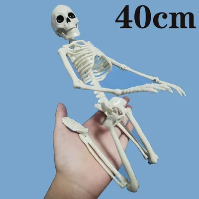 Скелет стоковое фото. изображение насчитывающей бескостные - 26964154