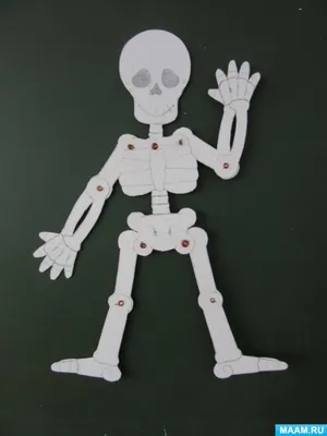 четырехугольный 3d рендеринг скелета иллюстративная медицинская схема  изображающая его структуру, скелет человека, хребет, человеческие кости фон  картинки и Фото для бесплатной загрузки
