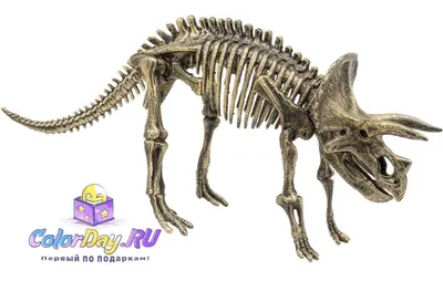 Скелет динозавра | Пикабу