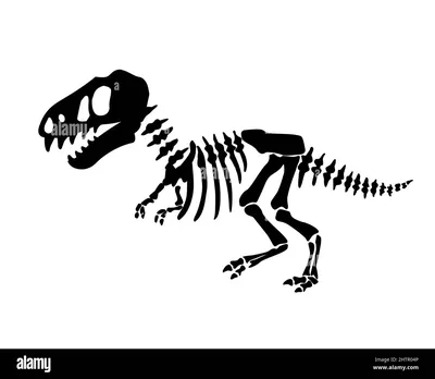Скелет динозавра Psittacosaurus sp.