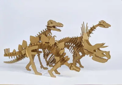 Скелеты Динозавров Установлены Силуэты Костей Динозавров Изолированные  Предметы Велоцираптор Диплодокус Трицератопс Тираннозавр Эк — стоковая  векторная графика и другие изображения на тему Динозавр - iStock