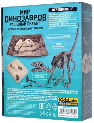 Фотообои Скелеты динозавров артикул Ch-553 купить в Оренбург|;|9 |  интернет-магазин ArtFresco
