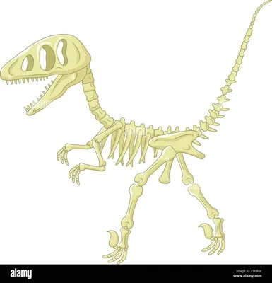 Скелет динозавра и макет в рамках проекта «Кто такие динозавры» (7 фото).  Воспитателям детских садов, школьным учителям и педагогам - Маам.ру