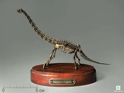 Набор EDU-TOYS скелет динозавра 91см купить по цене 5789 ₽ в  интернет-магазине Детский мир