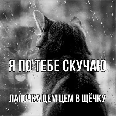 Что отправить любимому по мессенджеру — какие романтические слова написать  любимому — яркие картинки на украинском — жду, скучаю, хочу к тебе