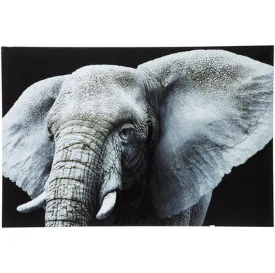 Фигурка Attivio Слон купить по цене 499 ₽ в интернет-магазине Детский мир