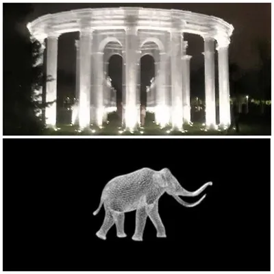 К чему снится слон | 7Дней.ru