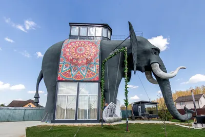 Мэрия напомнила о появлении первого слона в Московском зоопарке - Мослента