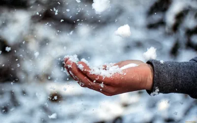Снег в руках маленькой девочки Руки ребенка в Mittens с свежим снегом  Стоковое Изображение - изображение насчитывающей сугроб, куртка: 79924449