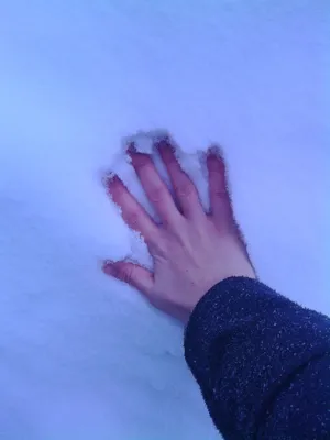 Всё лицо и руки залепил мне снег... | Пикабу
