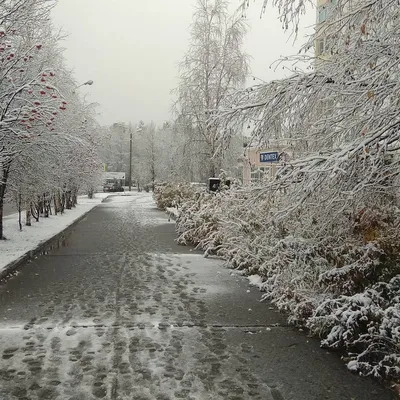 Тут только вплавь» На севере России аномально много снега. Местные купаются  в нем и откапывают авто: Явления: 69-я параллель: Lenta.ru