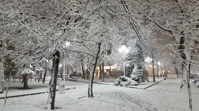 В Ноябрьске выпал первый снег