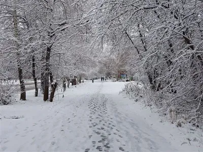 Эстетика зимнего города снег в апреле атмосферное фото города | Снег,  Город, Эстетика