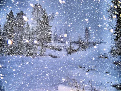 К чему снится снег — сонник: снег во сне | 7Дней.ру