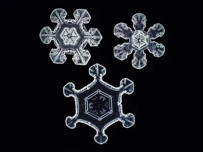 Эти фото заставят вас полюбить зиму: невероятные снимки снежинок и мыльных  пузырей - KP.RU