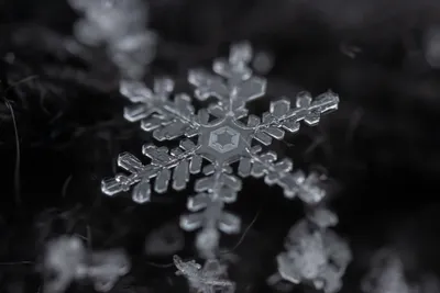 Снежинки в зиме стоковое фото. изображение насчитывающей свет - 45201098