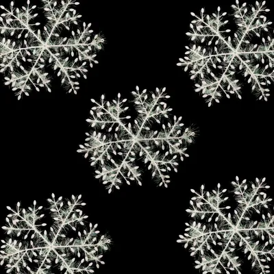Снежинка силуэт черно белый набор иллюстрации Ai материал PNG , снежинка  клипарт черно белый, Снежинка силуэт черно белый набор иллюстраций Ai  Material 03, снежинка PNG картинки и пнг рисунок для бесплатной загрузки