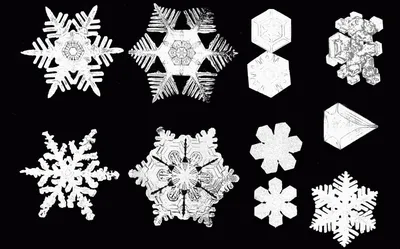Двух одинаковых не существует: невероятно красивые макрофото снежинок