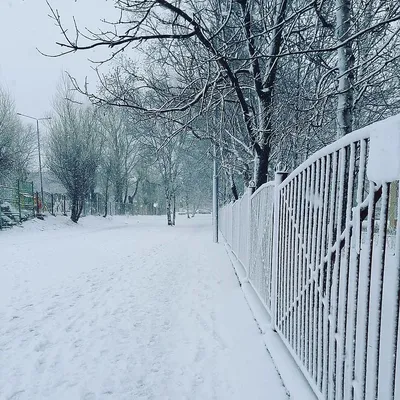 Весна? Не, не слышали: в Новороссийск вернулась снежная зима