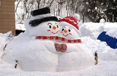В селе Кочки местный житель создает красивые снежные фигуры - Толк  31.12.2022