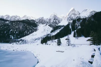 3d визуализация снежных гор и деревьев, 3d изометрический снежный пейзаж с  горной местностью, Hd фотография фото фон картинки и Фото для бесплатной  загрузки
