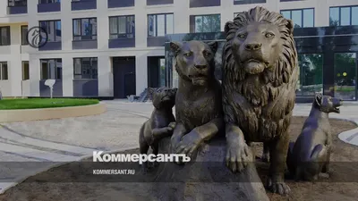 Львы и семейные ценности – Коммерсантъ Санкт-Петербург