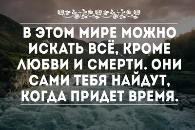 2 098 отметок «Нравится», 50 комментариев — Цитаты со смыслом  (@lovecitativk) в Instagram: «Поддержите нас лайком ❤️❤️❤️… | Семейные  цитаты, Сильные цитаты, Надписи