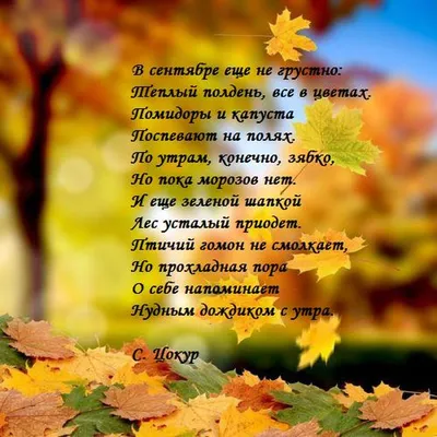 Шалунья осень (Анна Пуцева) / Стихи.ру