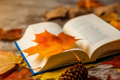 Осенние стихи: 5 красивых стихотворений про осень