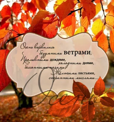 Стихи про осень Татьяна Самохина | Outdoor