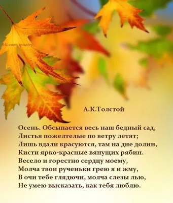 Хорошо ли вы помните стихи про осень?