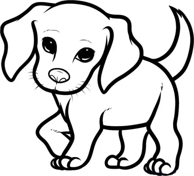 Рисунки для срисовки карандашом собаки — Стихи, картинки и любовь
