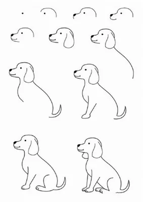 Рисунки собак для срисовки милые - 44 фото