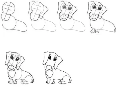 Рисунки собак для срисовки (30 картинок) - новый год 2018 | Disegni da  colorare con animali, Pagine da colorare per bambini, Animali