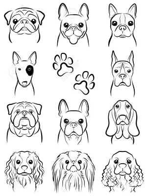 Собачка рисунок карандашом (27 фото) » Рисунки для срисовки и не только |  Собаки в живописи | Постила