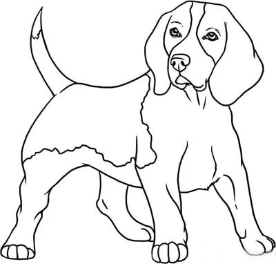 Картинки собак для ? срисовки: фото 100 креативных идей
