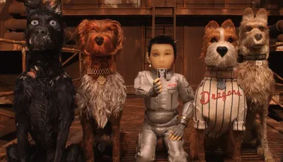 Остров собак» Уэса Андерсона: милая сказка о политике и коррупции На  Берлинале показали кукольный мультфильм про собак, мусор и Японию — Meduza